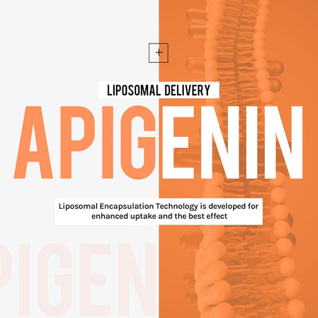 Cápsulas blandas de apigenina liposomal de 500 mg Cenffitio
