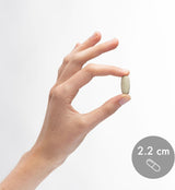Complejo de Alimentos Dr. Mercola, Multivitaminas y Minerales