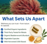 Viva Nutra Cápsulas Orgánicas de Musgo Irlandés, Bladderwrack y Bardana