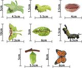 Figuritas de Ciclo de Vida de Mariposas SIENON, 4 Piezas