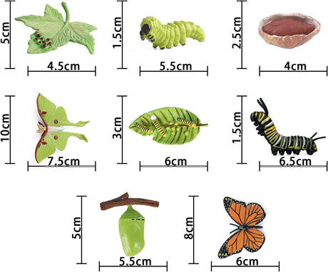Figuritas de Ciclo de Vida de Mariposas SIENON, 4 Piezas