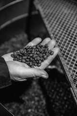Café Espresso Descafeinado Bristot, Molido, 250g, Tostado Medio