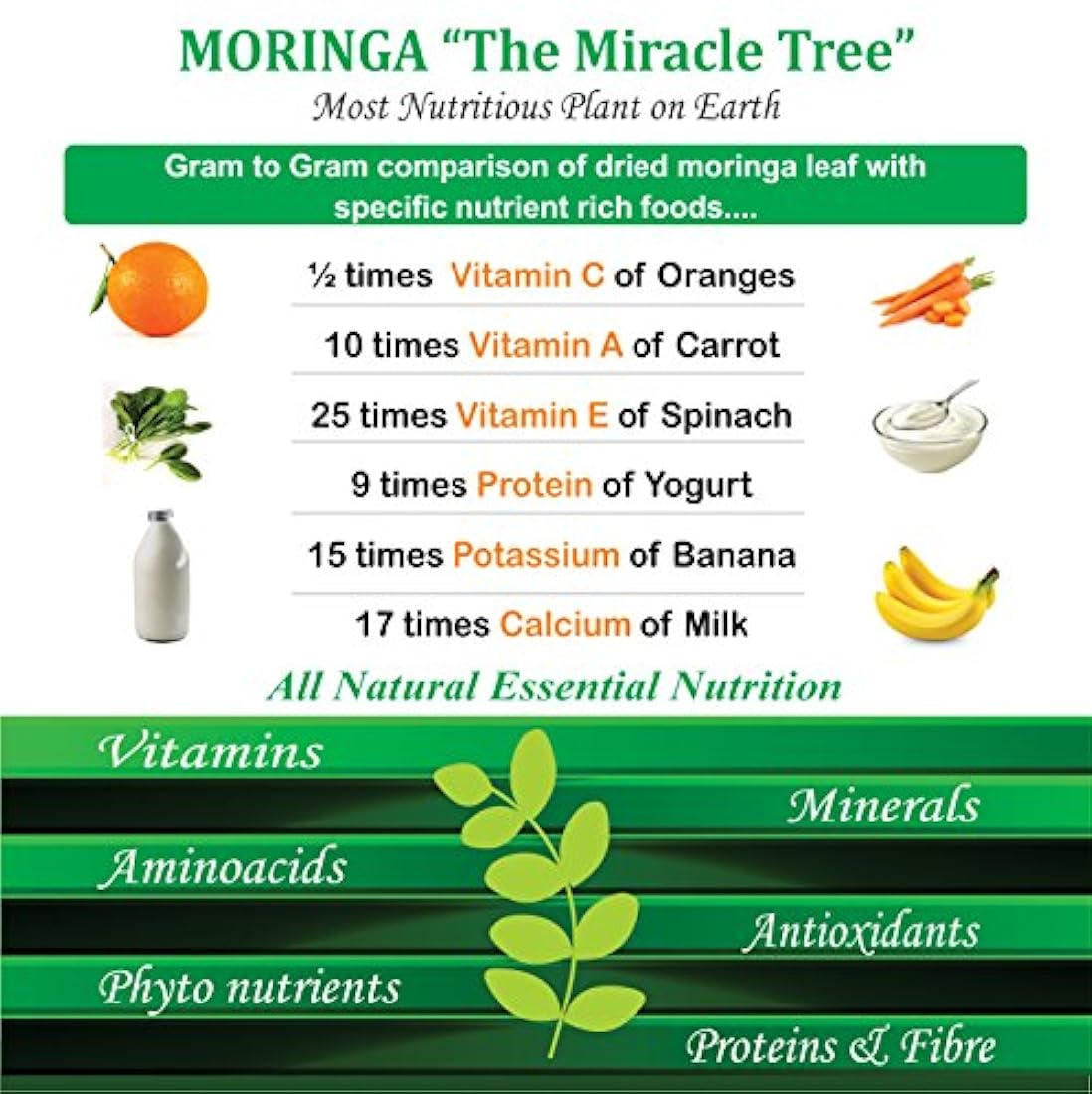 Orgánica Moringa Aceite