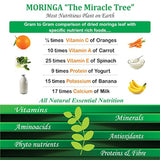 Orgánica Moringa Aceite