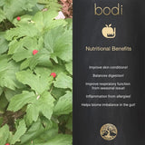 Suplemento Goldenseal Root 5:1 Extracto en polvo   5lb