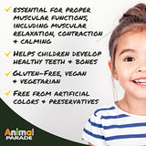 Natures Plus - 90 Masticables Animal Parade MagKidz – Libre de azúcar, 1, 90