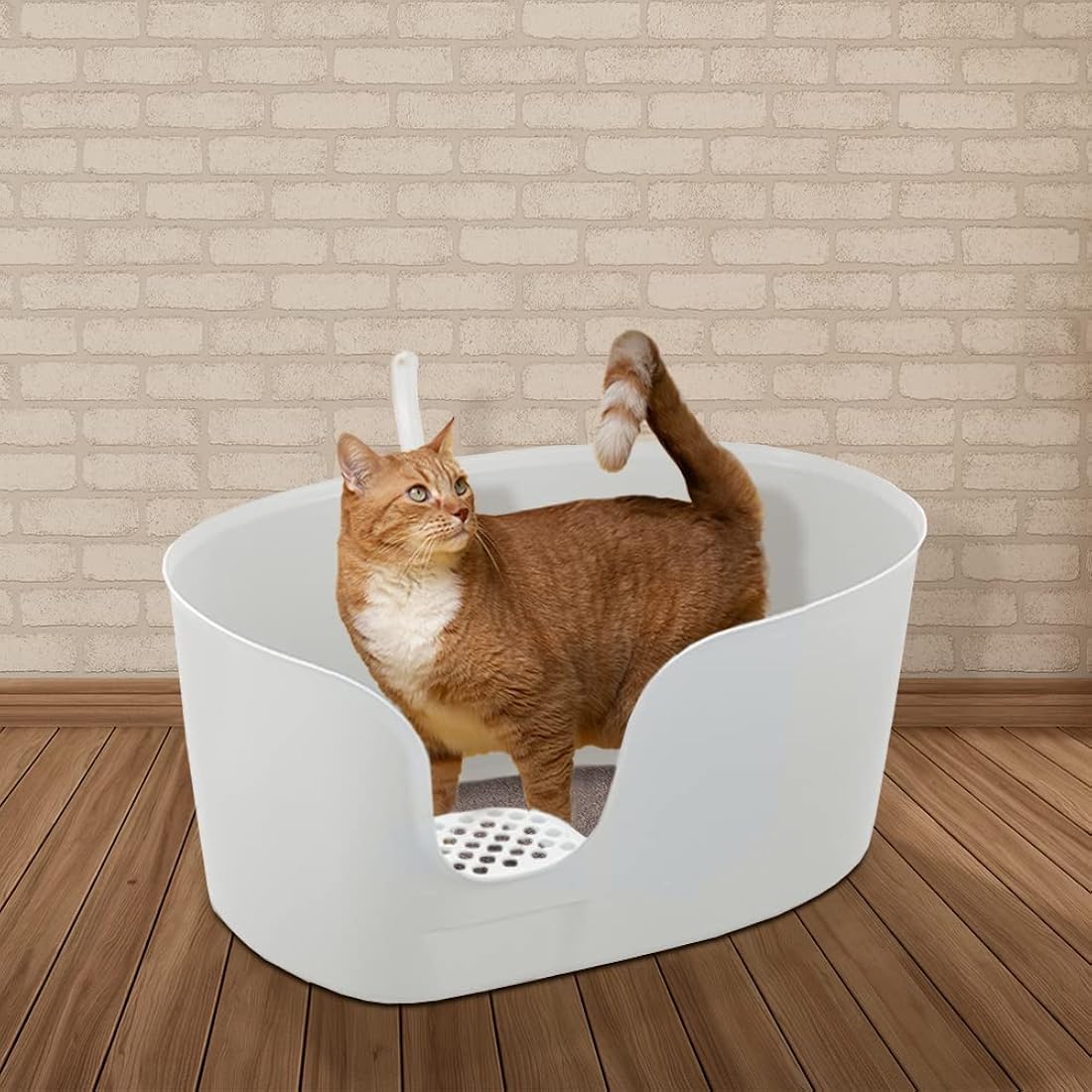 Caja de arena para gatos de pared alta XL Richell PAW TRAX
