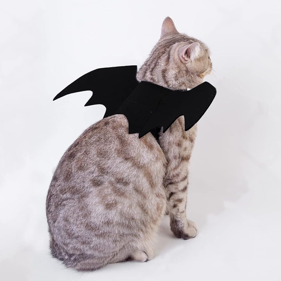Disfraces de Halloween d alas de murciélago talla única