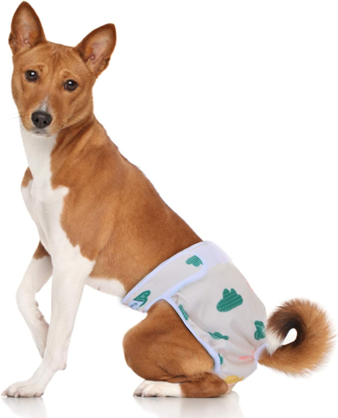 Teamoy – Pañales lavables para perros hembras súper absorbentes y cómodos
