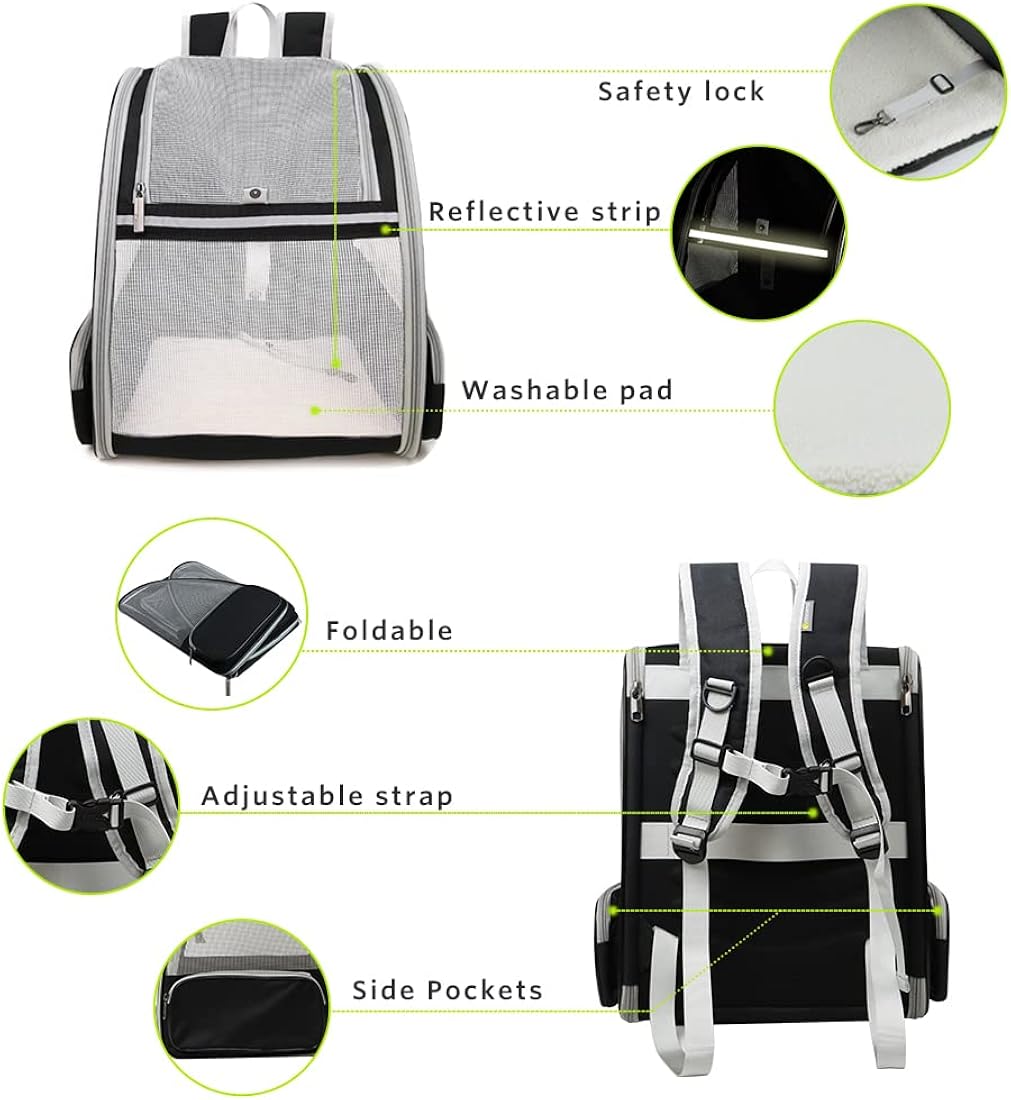 Mochilas de gatos para transporte