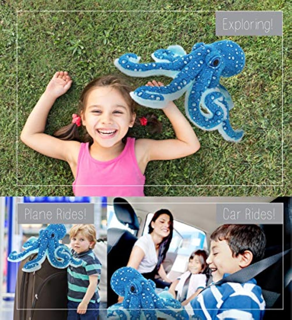 Animal Gift para niños 16