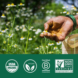 Cápsulas de Albahaca Sagrada - Extracto y Hoja, Vegano