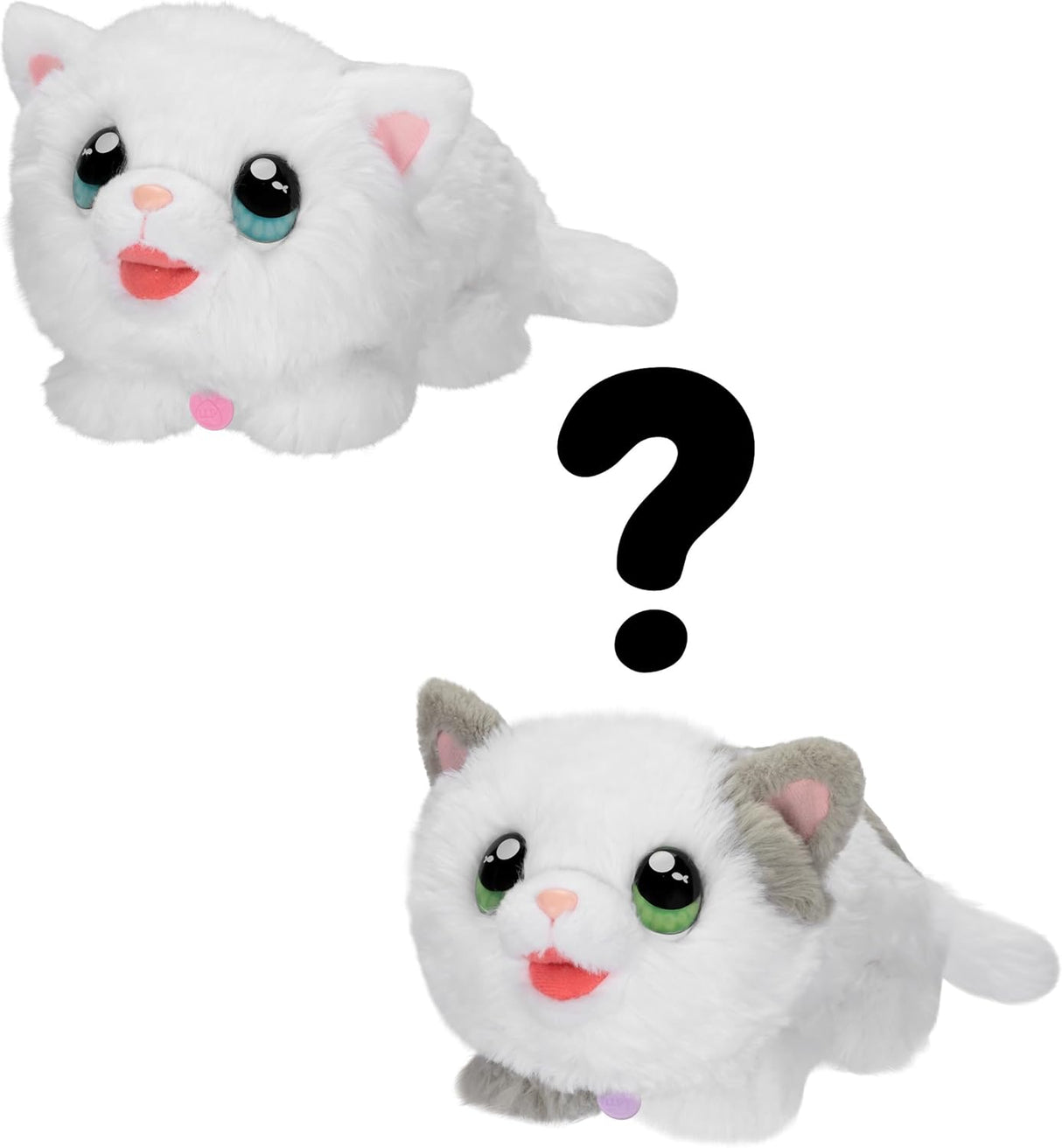 Little Live Pets Gatito Interactivo con Casa y Sonidos