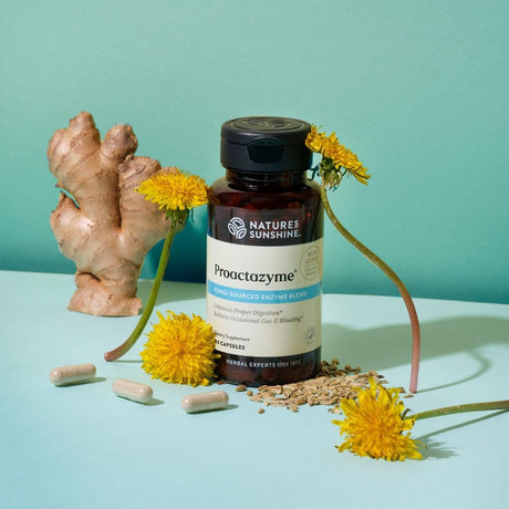 Suplementos  Proactazyme: Enzimas Digestiva 100 Cápsulas