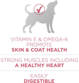 Purina ONE Comida Seca para Perros, Estómago Sensible, 31.1 lb.