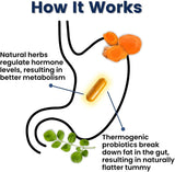 Probióticos naturales para la menopausia sudores nocturnos