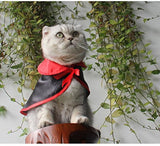 Disfraces de Halloween para mascotas s-lifeeling
