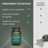 Schisandra Suplemento Suprarrenal Support 500 mg 60 Cápsulas
