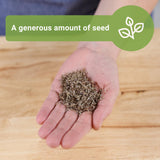 Semillas de Hierba Limón - Sow Right Seeds - 1600 Semillas