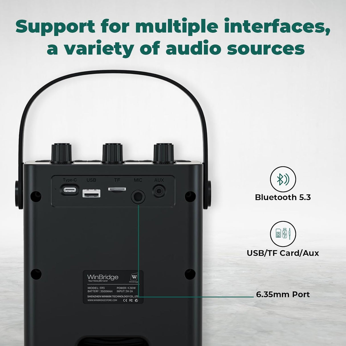 Amplificador de Voz Inalámbrico 30W con Micrófono S93