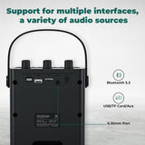 Amplificador de Voz Inalámbrico 30W con Micrófono S93