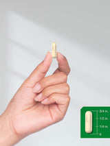Suplemento de Raíz de Ashwagandha Horbaach 1380mg, 180 Cápsulas