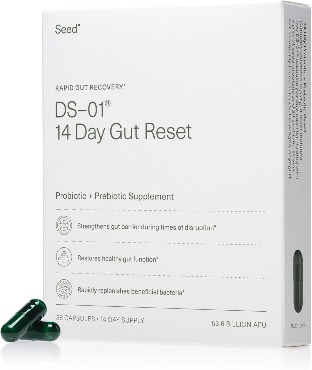 Suplemento de Probióticos y Prebióticos para la Salud Digestiva - 14 Días