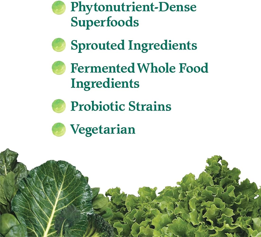 Suplemento Complemento vegetal de alimentos enteros  Polvo