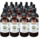Moringa alcohol-free Extracto de líquido