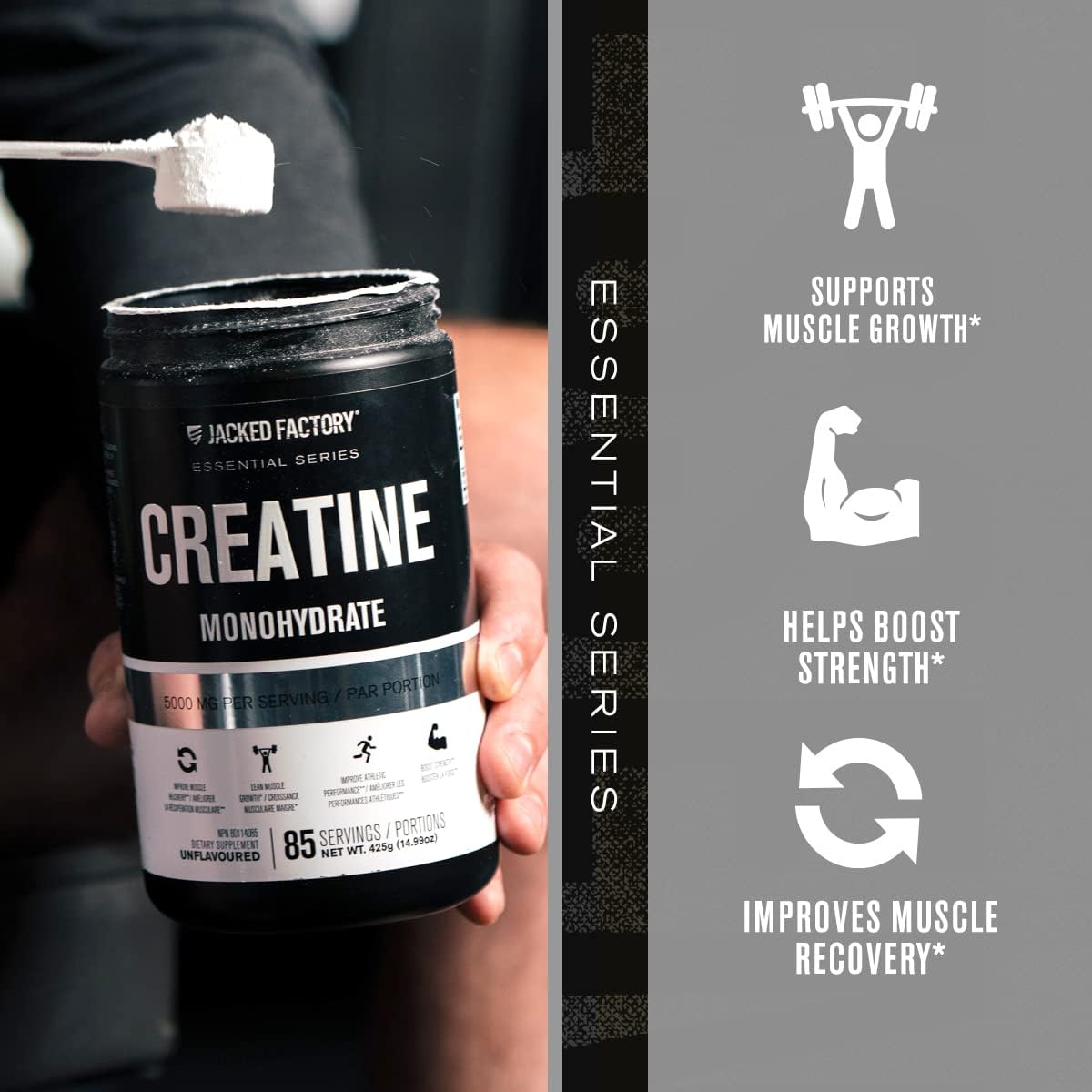 Creatina Monohidratada 425g Jacked Factory - Energía y Fuerza