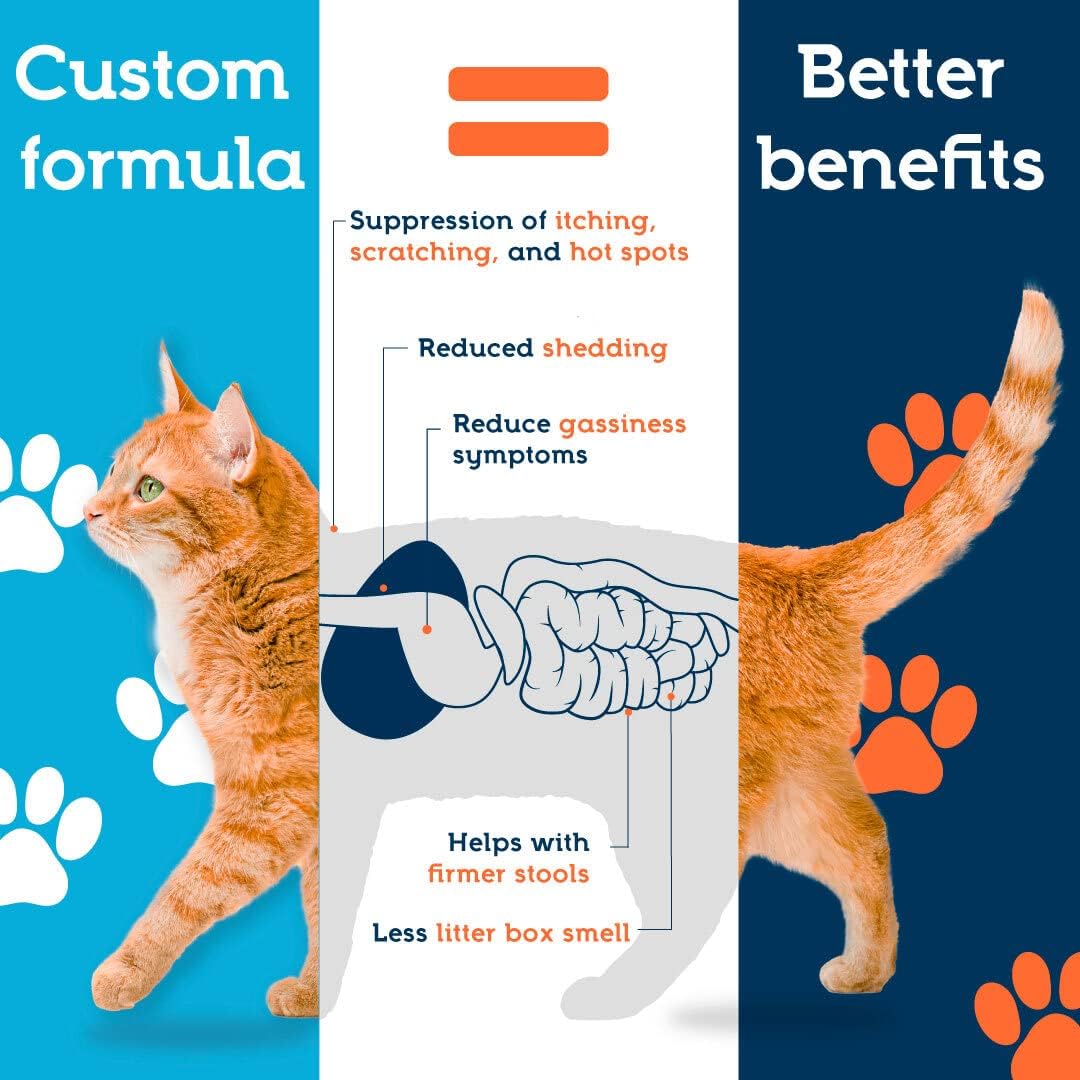 Probióticos para gatos