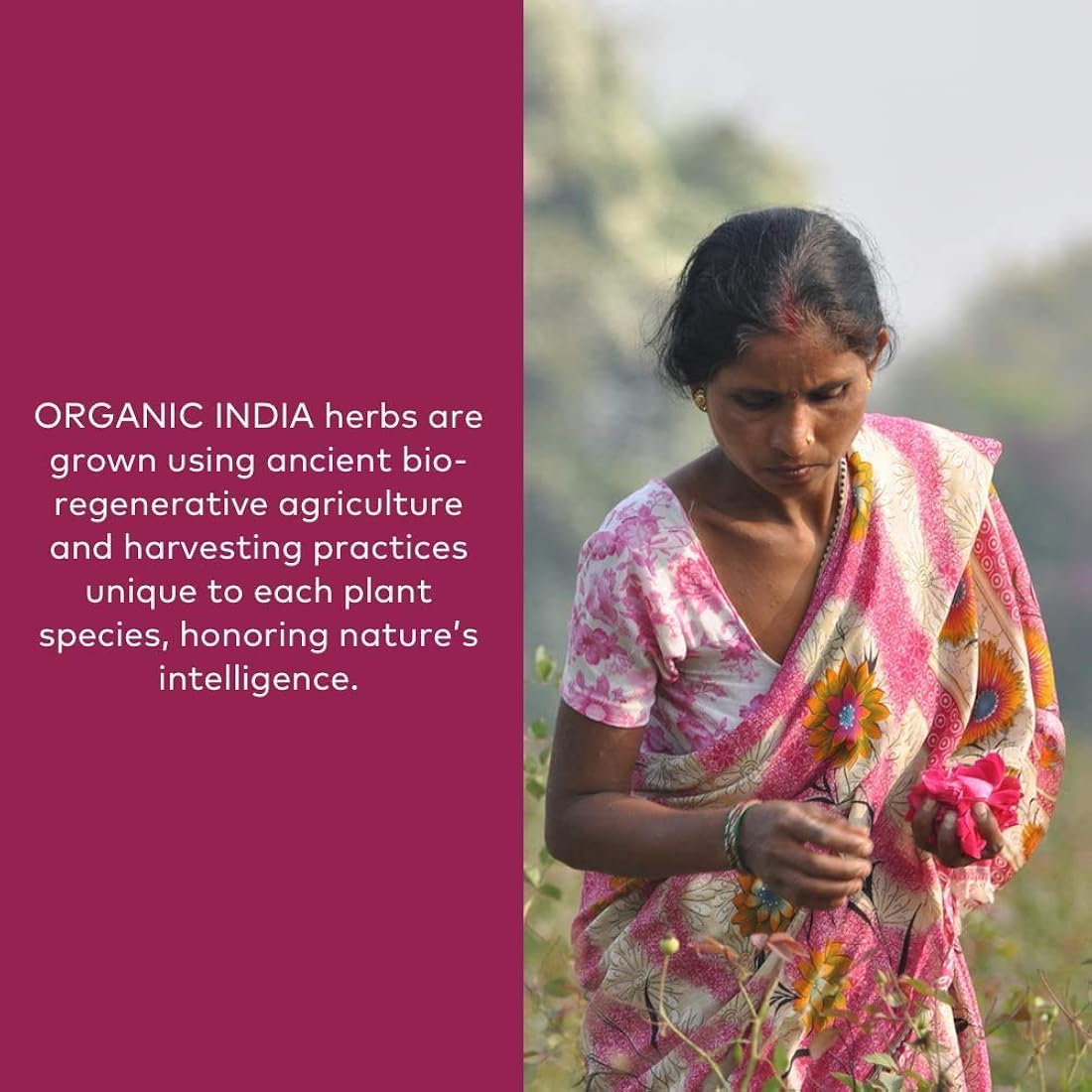 Suplemento ORGANIC INDIA Ashwagandha Powder vegano Kosher