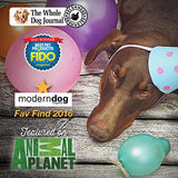 Remedio totalmente natural para narices para perro