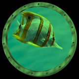 Vinilos Adhesivos de Pared Ocean View - Amaonm, 3D, 12x12
