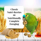 Alimento para loros Nutri-Berries