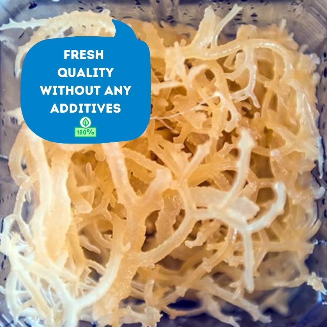 MossMar Irish Sea Moss Natural 8oz para Salud & Wellness