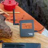 Puente WiFi MeatStick: Conexión para termómetro inteligente
