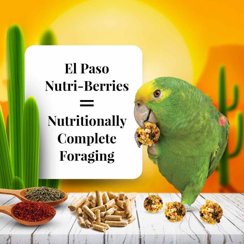 LAFEBER&#39;S El Paso Nutri-Berries - Alimento 3 libras