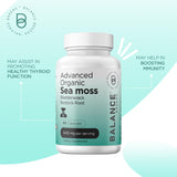 Suplemento de Musgo de Irlanda, Búlderwrack y Bardana 1405mg