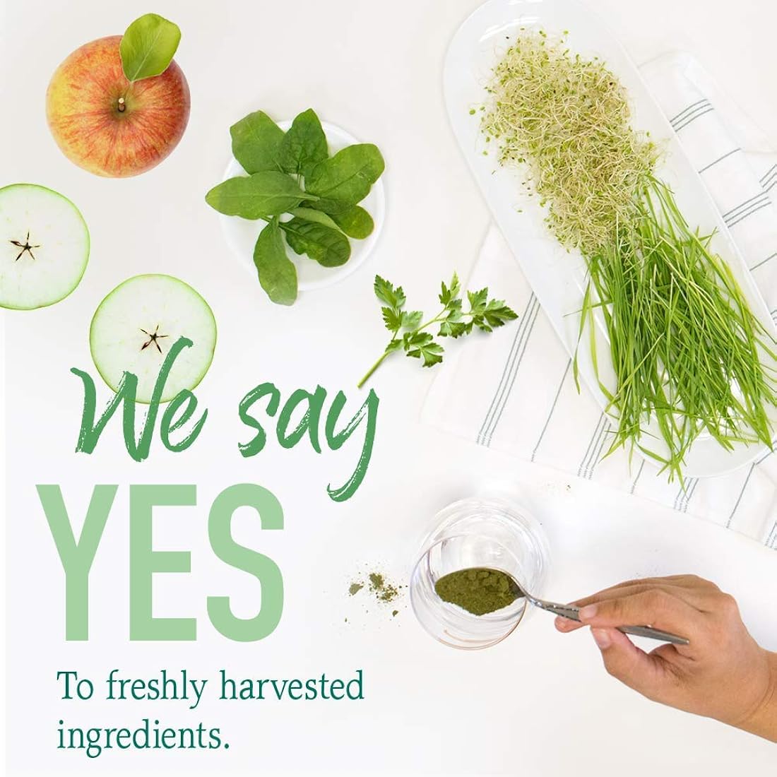 Suplemento Polvo orgánico crudo perfecto para alimentos