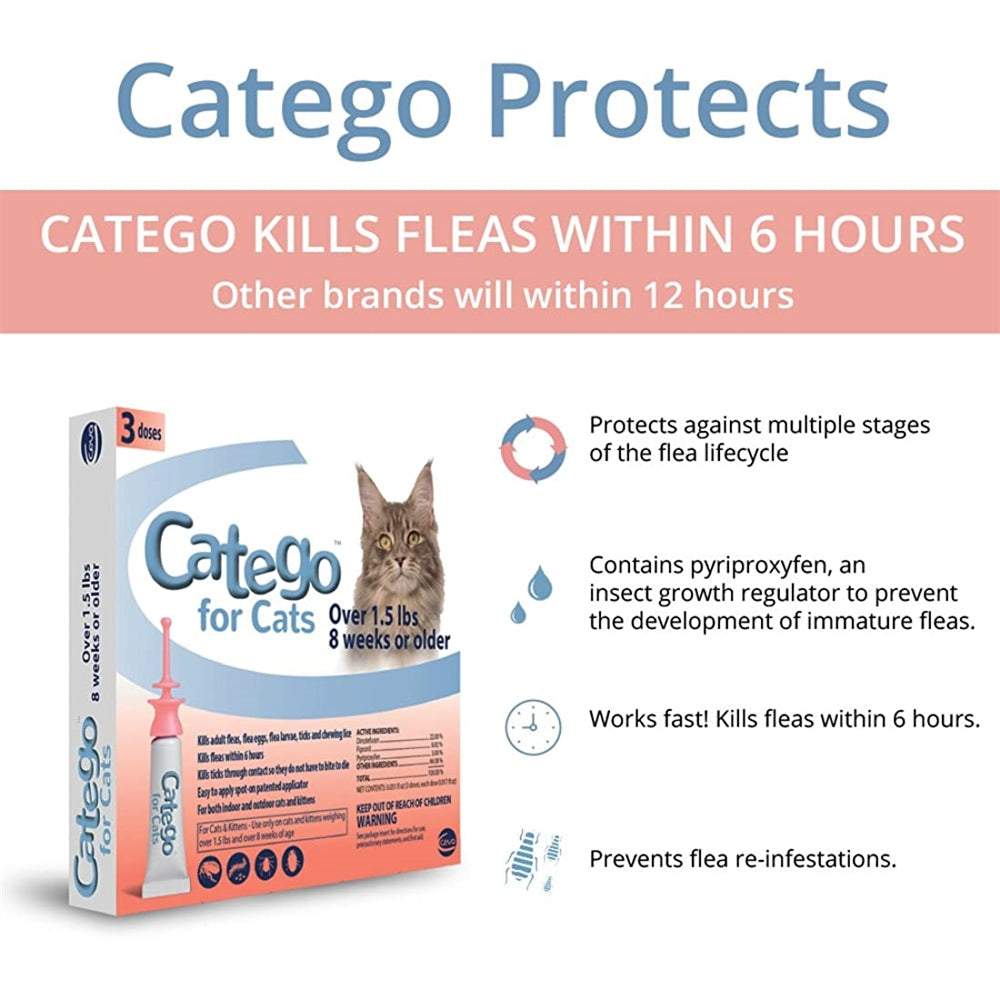 Control de pulgas y garrapatas Catego para gatos