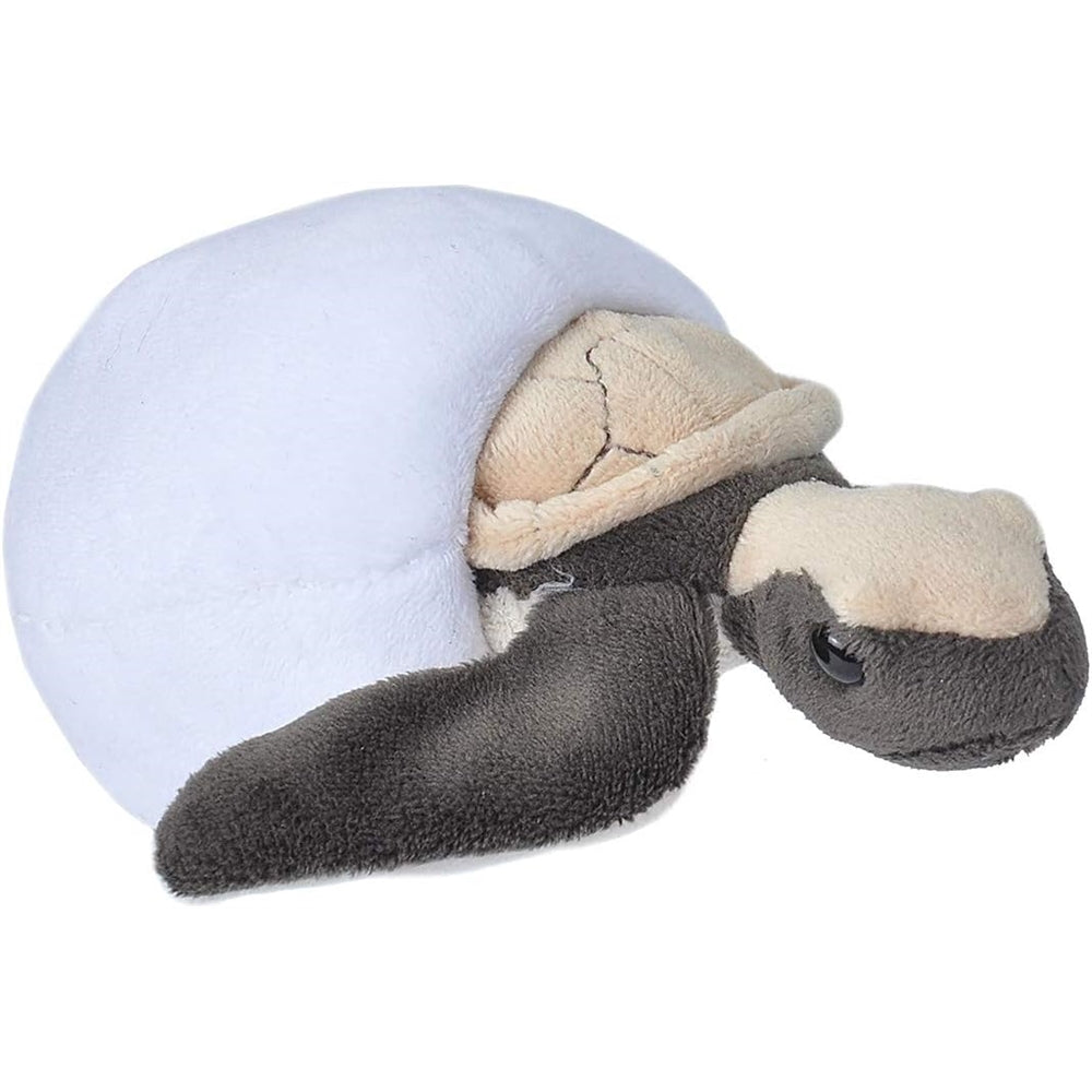 Peluche de tortuga carey de peluche de 6 pulgadas