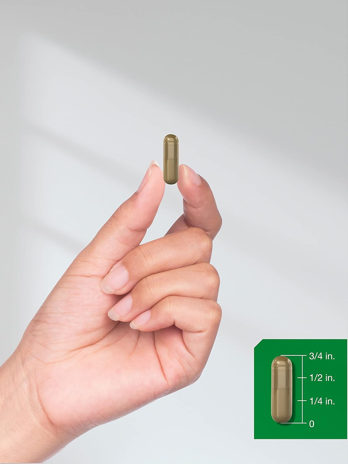 Suplemento de Flor de manzanilla 1100mg 200 cápsulas
