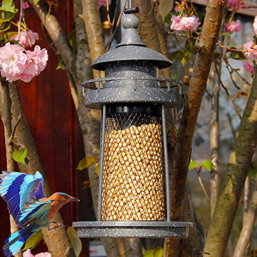 Comedero para pájaros, Gris oscuro HD9103-GR Twinkle Star