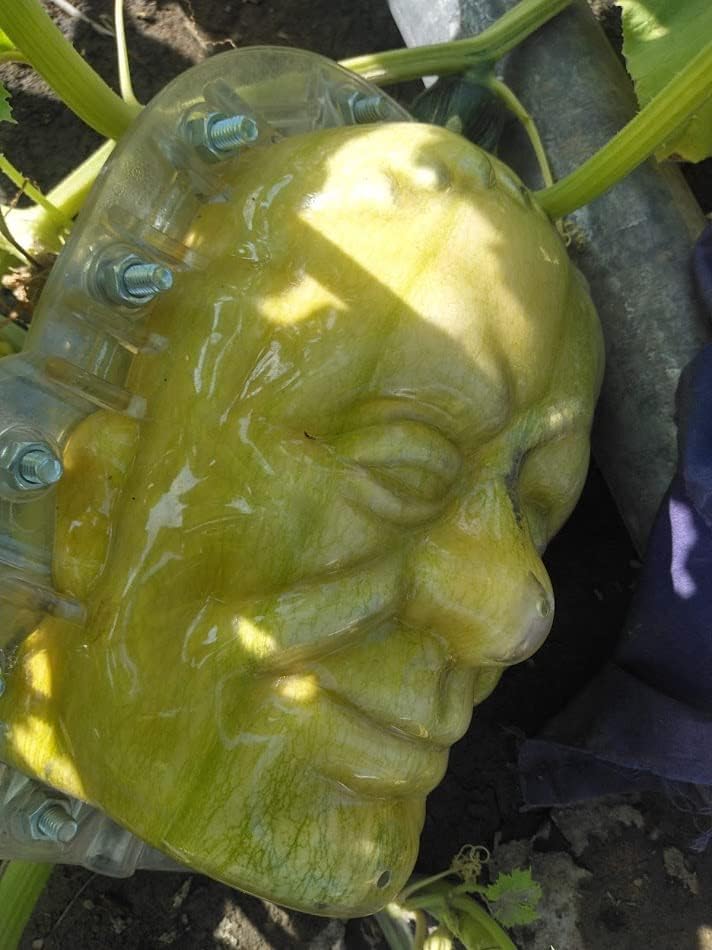 Molde de calabaza Frankenstein FRUITMOULD para Halloween