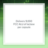 Suplemento enzima de lactasa ayuda intolerancia látea 60 cáp