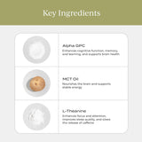 Crema Nootrópica con MCT, L-Teanina y Alpha GPC para Enfoque