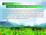 Orgánica Moringa Aceite