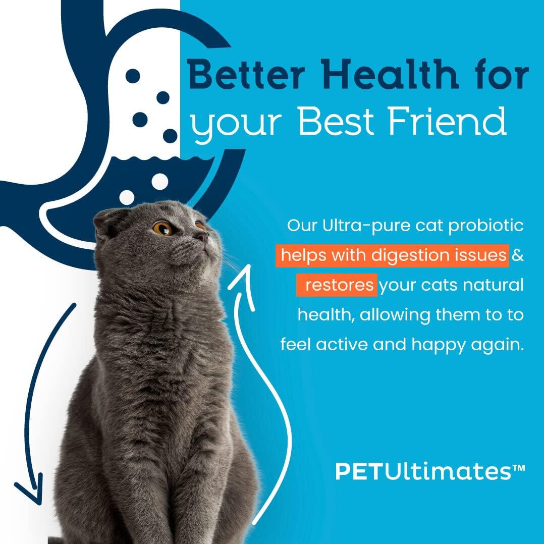 Probióticos para gatos