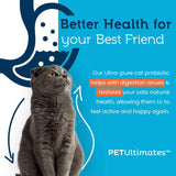 Probióticos para gatos